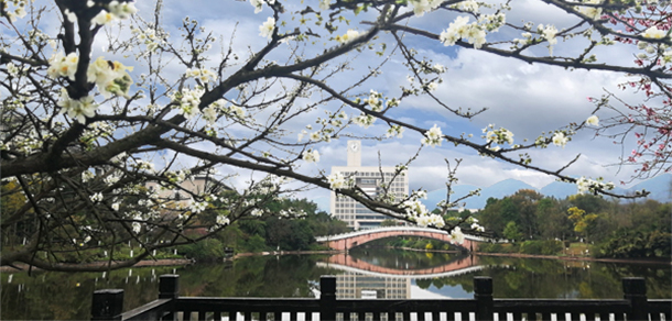 重慶師范大學 - 最美大學