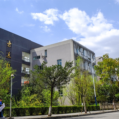 我的大學(xué)