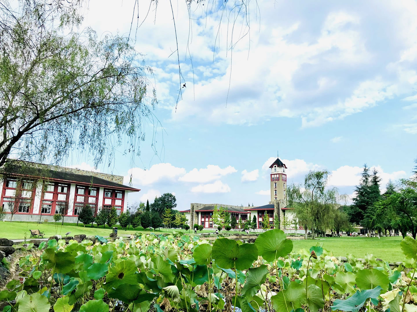 成都東軟學(xué)院-校園風(fēng)景