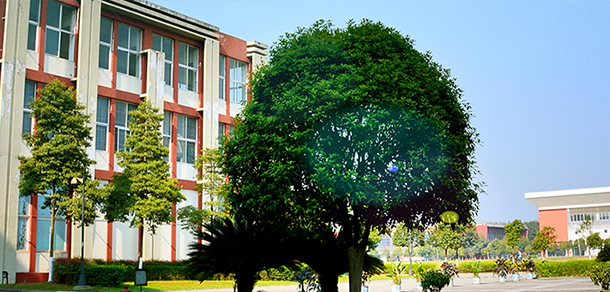 電子科技大學成都學院 - 最美大學