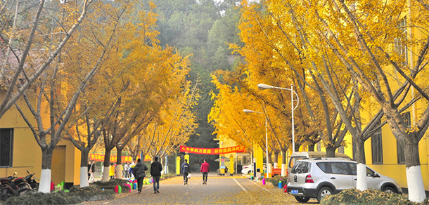 成都理工大學(xué)工程技術(shù)學(xué)院 - 最美大學(xué)