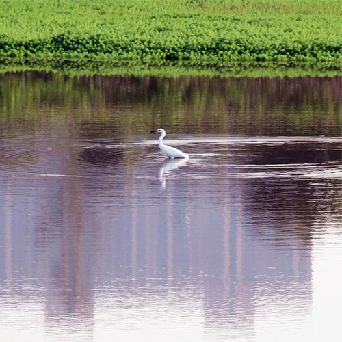 流金歲月