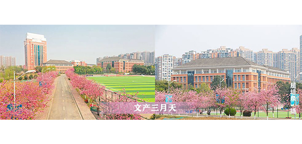 我的大學(xué)-大學(xué)志