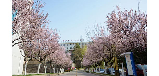 商洛學院 - 最美大學