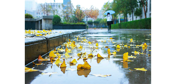 西安交通大學城市學院 - 最美大學