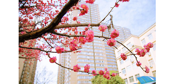 延安大學(xué)西安創(chuàng)新學(xué)院 - 最美大學(xué)