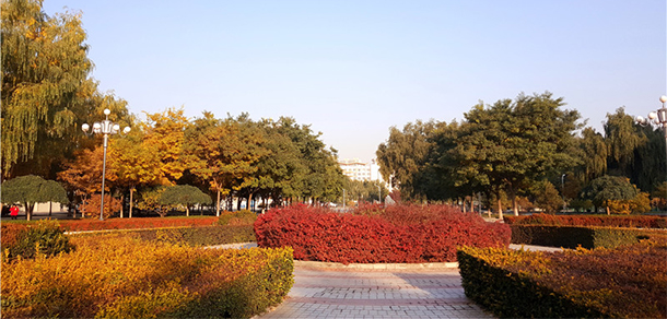 蘭州工業(yè)學院 - 最美大學