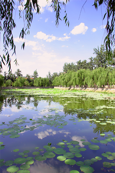 河北經(jīng)貿大學