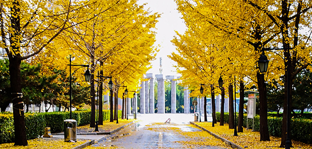 河北東方學院 - 最美大學