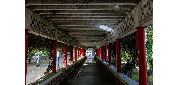 山西財經大學 - 最美大學