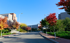 遼寧科技學院 - 我的大學