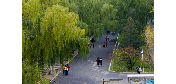 沈陽職業(yè)技術學院