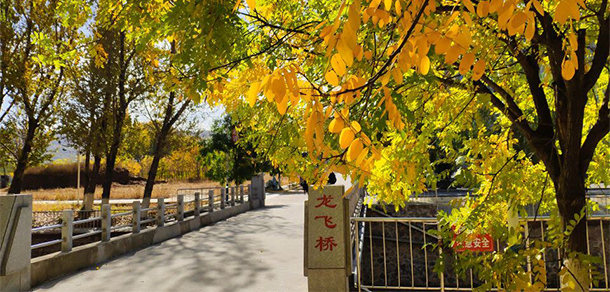 大連裝備制造職業(yè)技術(shù)學(xué)院 - 最美院校