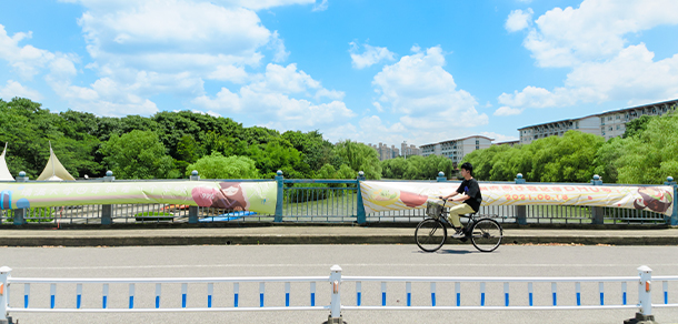 東華大學(xué) - 最美大學(xué)