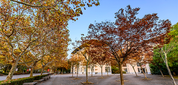 東華大學(xué) - 最美大學(xué)